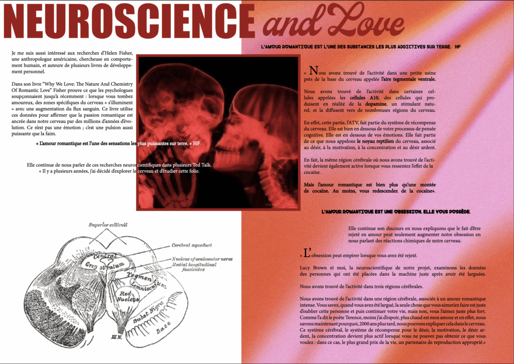 neurosciences et amour