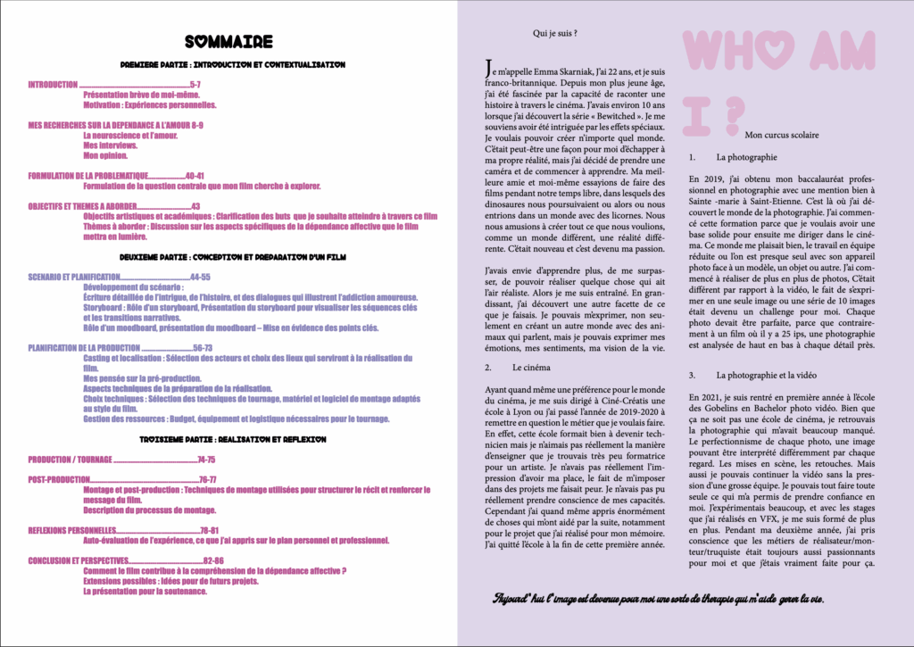 sommaire mémoire Emma Skarniak